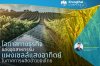 โอกาสทางธุรกิจของอุตสาหกรรมแผงเซลล์แสงอาทิตย์ในภาคการผลิตข้าวของไทย