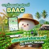 ธ.ก.ส. เปิดฟีเจอร์  “BAAC Buddy” ให้การจัดการหนี้เป็นเรื่องง่าย  ได้ประโยชน์สูงสุดผ่าน BAAC Mobile