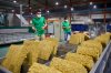 NER รับอานิสงส์ราคายางพาราโลกปรับตัวขึ้น Supply ตึงตัว – Demand ยางล้อแข็งแกร่ง! หนุนโค้งหลังทะยานต่อ ดันรายได้ปีนี้ทะลุเป้า 3 หมื่นลบ. NER รับอานิสงส์ราคายางพาราโลกปรับตัวขึ้น Supply ตึงตัว – Demand ยางล้อแข็งแกร่ง! หนุนโค้งหลังทะยานต่อ ดันรายได้ปีนี้ทะลุเป้า 3 หมื่นลบ.