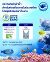 กรุงเทพประกันภัยร่วมออกบูท 2 งานใหญ่ Thailand Dive Expo และ Thailand Golf Expo พร้อมมอบโปรโมชันสุดพิเศษ กรุงเทพประกันภัยร่วมออกบูท 2 งานใหญ่ Thailand Dive Expo และ Thailand Golf Expo พร้อมมอบโปรโมชันสุดพิเศษ
