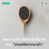 ดูแลสุขภาพและปัจจัยเสี่ยงโรคมะเร็งด้วยสารสกัดจากงาดำ (Black Sesame Extract) ดูแลสุขภาพและปัจจัยเสี่ยงโรคมะเร็งด้วยสารสกัดจากงาดำ (Black Sesame Extract)