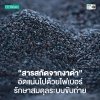 มนุษย์ธาตุหนักต้องฟัง ! สารสกัดจากงาดำ (Black Sesame Extract) แหล่งไฟเบอร์ ดูแลระบบขับถ่ายาก มนุษย์ธาตุหนักต้องฟัง ! สารสกัดจากงาดำ (Black Sesame Extract) แหล่งไฟเบอร์ ดูแลระบบขับถ่ายาก