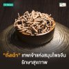 ถั่งเฉ้า (Cordyceps) สมุนไพรจีนเพื่อการดูแลสุขภาพ ถั่งเฉ้า (Cordyceps) สมุนไพรจีนเพื่อการดูแลสุขภาพ