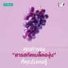 Grape Seed Extract C Plus คุณค่าของสารสกัดจากเมล็ดองุ่นที่คุณไม่เคยรู้ Grape Seed Extract C Plus คุณค่าของสารสกัดจากเมล็ดองุ่นที่คุณไม่เคยรู้