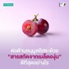 Grape Seed Extract C Plus ต่อต้านอนุมูลอิสระด้วยสารสกัดจากเมล็ดองุ่นดีที่สุดอย่างไร Grape Seed Extract C Plus ต่อต้านอนุมูลอิสระด้วยสารสกัดจากเมล็ดองุ่นดีที่สุดอย่างไร