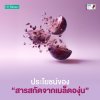 Grape Seed Extract C Plus ประโยชน์ของสารสกัดจากเมล็ดองุ่น Grape Seed Extract C Plus ประโยชน์ของสารสกัดจากเมล็ดองุ่น