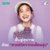 ฟื้นฟูสุขภาพ ด้วยสารสกัดจากเมล็ดองุ่น (Grape Seed Extract) ฟื้นฟูสุขภาพ ด้วยสารสกัดจากเมล็ดองุ่น (Grape Seed Extract)