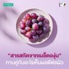 Grape Seed Extract C Plus สารสกัดจากเมล็ดองุ่น (Grape Seed Extract) ทานคู่กับอะไรเห็นผลดีต่อผิว Grape Seed Extract C Plus สารสกัดจากเมล็ดองุ่น (Grape Seed Extract) ทานคู่กับอะไรเห็นผลดีต่อผิว