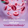 Grape Seed Extract C Plus เพิ่มการไหลเวียนของเลือดให้ดีขึ้นด้วยสารสกัดจากเมล็ดองุ่น (Grape Seed Extract) Grape Seed Extract C Plus เพิ่มการไหลเวียนของเลือดให้ดีขึ้นด้วยสารสกัดจากเมล็ดองุ่น (Grape Seed Extract)