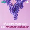 เพิ่มประสิทธิภาพวิตามินอีด้วยสารสกัดจากเมล็ดองุ่น (Grape Seed Extract) เพิ่มประสิทธิภาพวิตามินอีด้วยสารสกัดจากเมล็ดองุ่น (Grape Seed Extract)