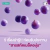 Grape Seed 5 เรื่องน่ารู้ก่อนรับประทานสารสกัดจากเมล็ดองุ่น Grape Seed 5 เรื่องน่ารู้ก่อนรับประทานสารสกัดจากเมล็ดองุ่น