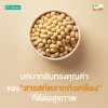 บทบาทอันทรงคุณค่าของสารสกัดถั่วเหลือง (Isolated Soy Protein) ที่ดีต่อสุขภาพ