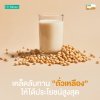 Isolated Soy Protein เคล็ดลับทานถั่วเหลือง Isolated Soy Protein เคล็ดลับทานถั่วเหลือง