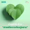 Jiaogulan Extract บำรุงหัวใจ ด้วยสารสกัดจากเจียวกู่หลาน (Jiaogulan Extract) Jiaogulan Extract บำรุงหัวใจ ด้วยสารสกัดจากเจียวกู่หลาน (Jiaogulan Extract)