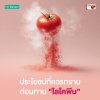 Lycopene ประโยชน์ที่ควรทราบก่อนเลือกทานสารสกัดไลโคพีน (Lycopene) จากมะเขือเทศ Lycopene ประโยชน์ที่ควรทราบก่อนเลือกทานสารสกัดไลโคพีน (Lycopene) จากมะเขือเทศ