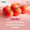 Lycopene ไลโคปีนสารสกัดจากมะเขือเทศ ช่วยดูแลสุขภาพหัวใจจริงหรือ? (Lycopene) Lycopene ไลโคปีนสารสกัดจากมะเขือเทศ ช่วยดูแลสุขภาพหัวใจจริงหรือ? (Lycopene)