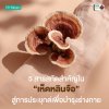 Reishi Extract 5 สารสกัดสำคัญในเห็ดหลินจือ (Reishi Extract) สู่การประยุกต์เพื่อบำรุงร่างกาย Reishi Extract 5 สารสกัดสำคัญในเห็ดหลินจือ (Reishi Extract) สู่การประยุกต์เพื่อบำรุงร่างกาย