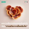 ดูแลสุขภาพเพื่อลดความเสี่ยงโรคหลอดเลือดหัวใจตีบ และบทบาทของเห็ดหลินจือ (Reishi Extract) ดูแลสุขภาพเพื่อลดความเสี่ยงโรคหลอดเลือดหัวใจตีบ และบทบาทของเห็ดหลินจือ (Reishi Extract)