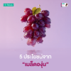 Grape Seed 5 ประโยชน์จากเมล็ดองุ่น Grape Seed 5 ประโยชน์จากเมล็ดองุ่น