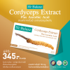 Hi-Balanz Cordyceps Extract Plus Ascorbic Acid  l ไฮบาลานซ์ สารสกัดจากถั่งเฉ้าผสมวิตามินซี