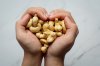 Get to Know Cashew Nuts