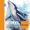 ไวนิลทึบแสง 320 แกรม หลังขาว Front Lit - (White-Back Vinyl)