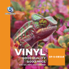 ไวนิลทึบแสง 360 แกรม หลังดำ Front Lit - (Black-Back Vinyl)