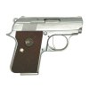 WE - CT25 Silver ( GBB )