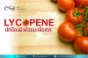 ปกป้องผิวด้วยมะเขือเทศ และ Lycopene คืออะไร ปกป้องผิวด้วยมะเขือเทศ และ Lycopene คืออะไร