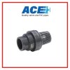 สวิงฟุตวาล์ว 2.1/2" ACE   PVC FOOT VALVE