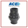 ACE Swing Check Valve สวิงเช็ควาล์ว ขนาด 6"