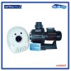 ชุดสำเร็จเครื่องว่ายทวนน้ำ ปั๊มขนาด 3.0 แรงม้า ใช้ไฟ 220 V