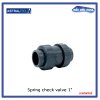 สปริงเช็ควาล์ว/ Astral pool /Cepex/Spring check valve 1''