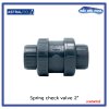 สปริงเช็ควาล์ว/Astral pool /Cepex/ Spring Check Valve/ 2''