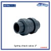 สปริงเช็ควาล์ว/Astral pool /Cepex/ Spring Check Valve/ 2''