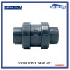 Astralpool Cepex Spring Check Valve สปริงเช็ควาล์ว ขนาด 2-1/2"
