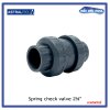 สปริงเช็ควาล์ว/Astral pool /Cepex/ Spring Check Valve/ 2-1/2"