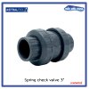 สปริงเช็ควาล์ว/Astral pool/ Cepex /Spring check valve/ 3"