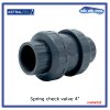 สปริงเช็ควาล์ว/Astral pool/Cepex/ Spring check valve / 4"