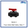 True Union Ball Valve, Size 1"
