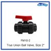 True Union Ball Valve, Size 2"