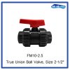 True Union Ball Valve, Size 2-1/2"