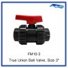 True Union Ball Valve, Size 3"