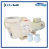 Pentair Whis[erflpw Pump