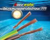 สายไฟ สายไฟ