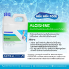 ALGISHINE น้ำยากำจัดตะไคร่และปรับน้ำใสขนาด 5 ลิตร