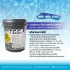 คลอรีนเผง 20  กก(Nissan chlorine POWDER 20 kg)