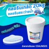 คลอรีนเกล็ด Chlorine T.C.C.A 90%  20กก Whale Pool