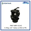 มัลติพร็อตวาล์ว 6 Way 2.5" Valve (Blk) w/ union,SG & PG