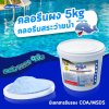 คลอรีนผง T.C.C.A 90%  5 KG Whale Pool